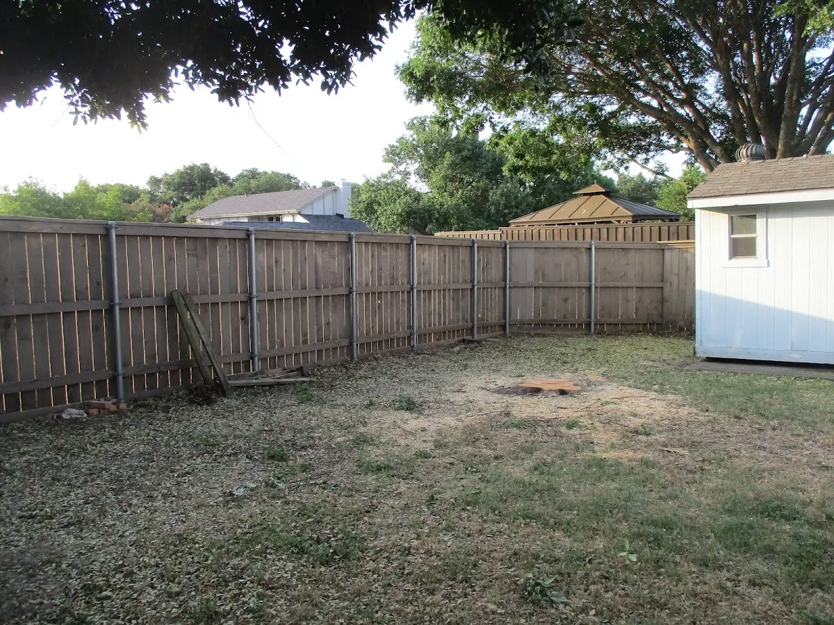 Cleared yard after professional tree removal in Chalfont
